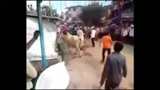 Komik Video 14