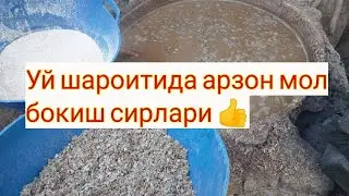 Уй шароитида арзон ва фойдали мол бокиш сирлари👍👍