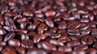Journey with us as we explore coffee growing regions around the world!
