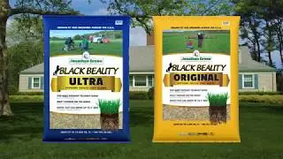 Black Beauty Grass Seed -  Great Seed for a truly Great Lawn!