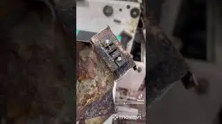 Дросель гігант