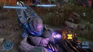 Halo Inifinite - Sleeping on the job