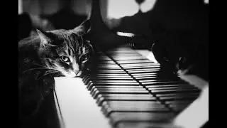 Музыка Фортепиано. Piano music.