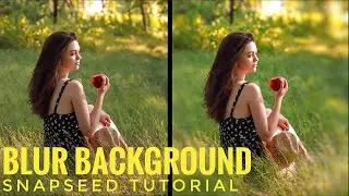 How to Blur Background of a Photo in Snapseed Mobile App
