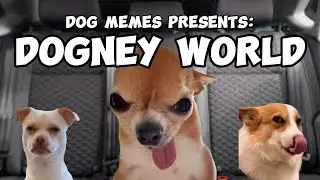 DOG MEMES: TO DOGNEY WORLD PT.1