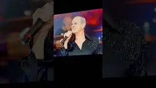 pavão misterioso