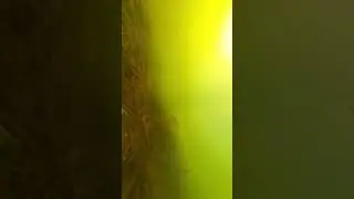 Underwater 