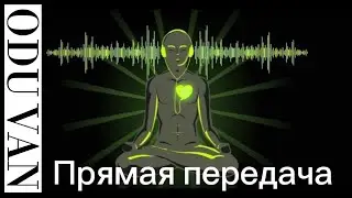 Что такое прямая передача присутствия.