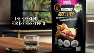 Embrace Mixology With The New SFG Gecko Foods