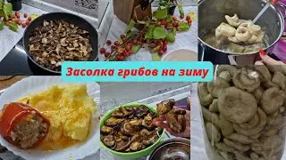 Маринованные грибы на зиму Грузди, Коровники