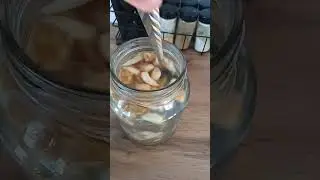 Vitamin and dewormer for pigeons