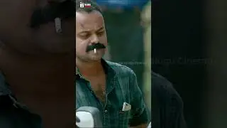 ఊర మాస్ వార్నింగ్ ఇచ్చాడు | Puncture Ramachandra Movie | Kunchacko Boban | #YTShorts | Telugu Cinema