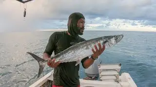 Big Mackerel Save The Day 11lb Caught While Trolling On Bank