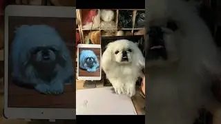 Copy the dog in the photo 