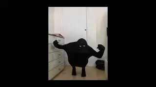Cursed Cat meme low-cost Cosplay