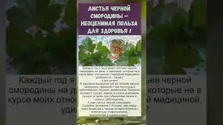 не просто листья... а вы знали об этом?