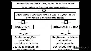 O que é a Mente? | Fundamentos da Neuropsicologia