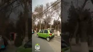 Оштун кочолору 08.12.21