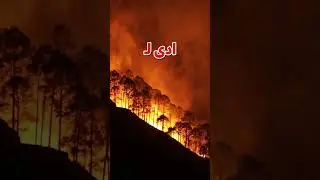 الشرطة في خدمة الشعب