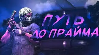 До прайма с софтом [onetap]
