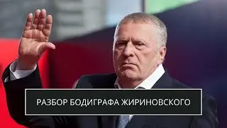Владимир Жириновский. Разбор бодиграфа. Дизайн Человека