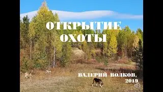 Волков В. Открытие охоты (2019)