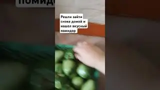 было вкусно 5 сертя