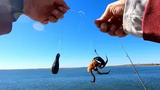 Quick NYC Blackfish Trip - TOG Between the TAUTOG New York City Style TOGGING