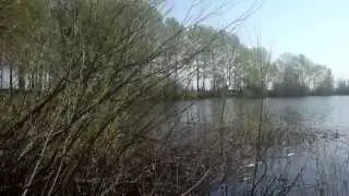 Ловля карася весной