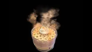 Apfel Chips