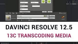 DaVinci Resolve 12.5 - 13c Transcoding Media