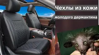 Почти кожаные Авточехлы с AliExpress