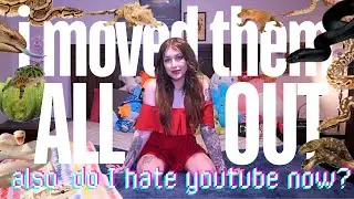 LET'S MOVE ALL OF MY ANIMALS OUT OF MY ROOM. (Also, Youtube Scares Me Lol)