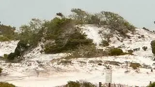 Huge Sand Dunes in Panama City Florida!
