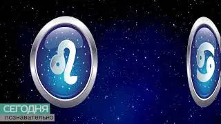 Гороскоп на сегодня - Работает как рулетка