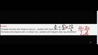 Oran Orantı Problemleri ve Çözümleri 7.sınıf
