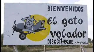 El gato bolador