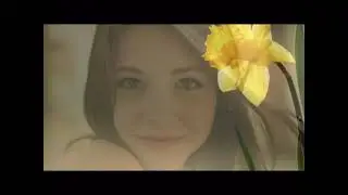 Риф