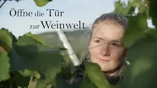 Öffne die Tür zur Weinwelt - Werde Winzer*in!