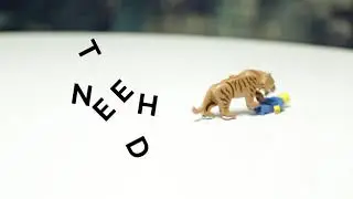 Alexander's Tiger stop motion