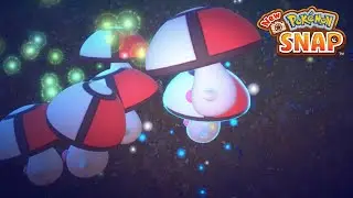 New Pokemon Snap - The Parachute (4 Star Foongus) | LenTalk Request (Side Path [Night])