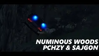 PCHZY & SajgoN - Numinous Woods
