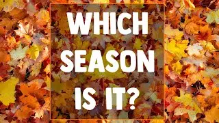 Which Season Is It? | Learn English Seasons Guessing Game