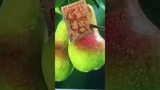 🍐 Fruit Stamps Day 2 - Pears - 1957 Bulgaria 🇧🇬 #philately #stamps