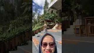Taman edelwis, Bromo. SEJUK BANGET!! 😱😱 #shortvideo