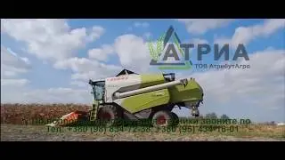 Жатка для кукурузы ЖК-80 на комбайн Массей Фергюсон, Кейс-Аксиал, Дон, Медион