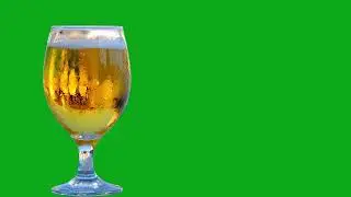 beer glass green screen , beer glass green screen video