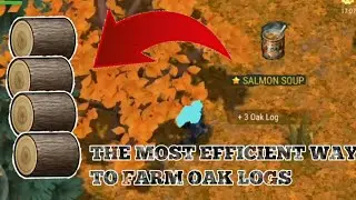 THE MOST EFFICIENT WAY TO GET Oak Logs How to get Stone Walls Last Day on Earth 1.20.16