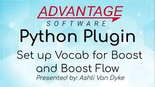 Python Plugin: Set up Vocab for Boost and Boost Flow