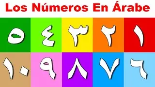 Aprender a escribir y pronunciar los números en Árabe